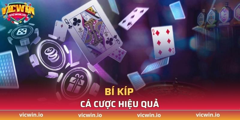 Bí kíp cá cược hiệu quả