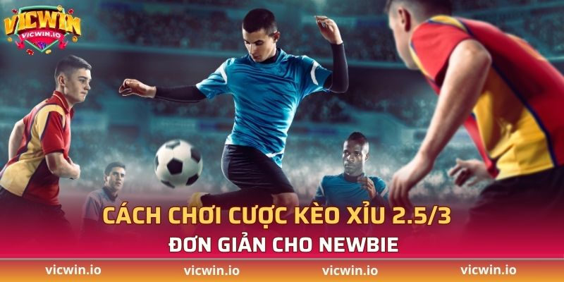 Cách chơi cược kèo xỉu 2.5/3 đơn giản cho newbie