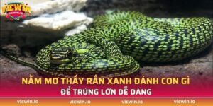 nằm mơ thấy rắn xanh đánh con gì