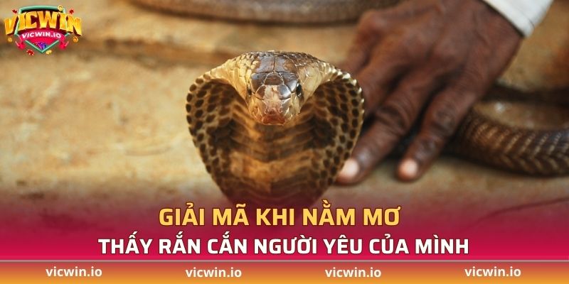Giải mã khi nằm mơ thấy rắn cắn người yêu của mình