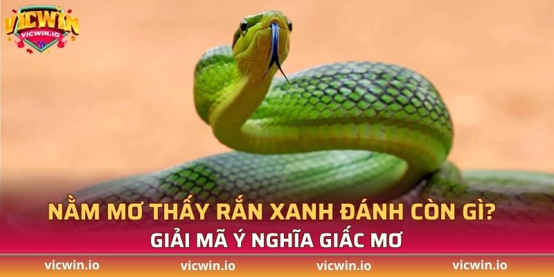 Giải mã nằm mơ thấy rắn xanh đánh con gì