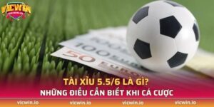 tài xỉu 5.5/6 là gì