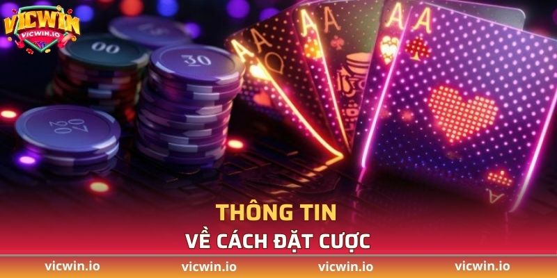 Thông tin về cách đặt cược