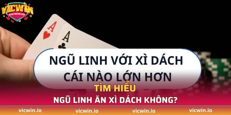 Tìm hiểu Ngũ Linh ăn Xì Dách không?