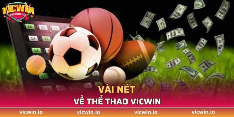 Vài nét về thể thao VICWIN