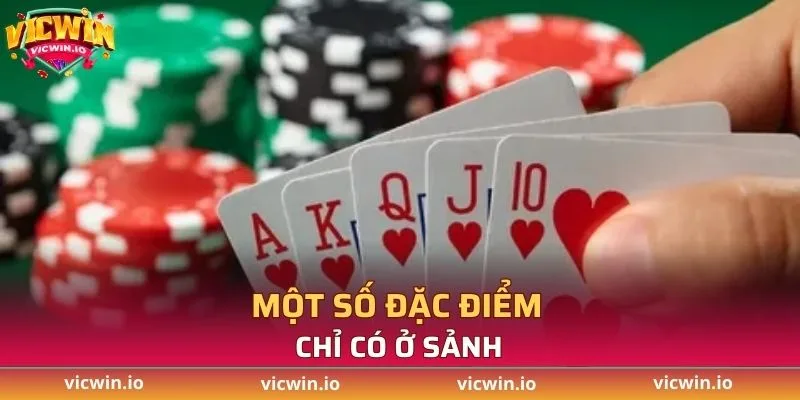 Một số đặc điểm chỉ có ở sảnh