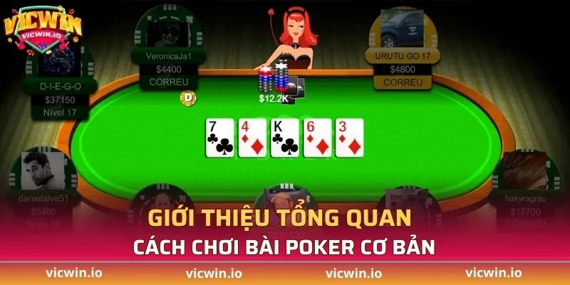 Giới thiệu tổng quan cách chơi bài poker cơ bản