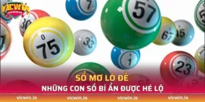 Sổ mơ lô đề - Những con số bí ẩn được hé lộ