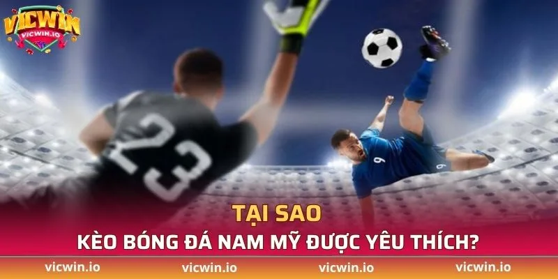 Tại sao kèo Nam Mỹ được yêu thích như vậy?